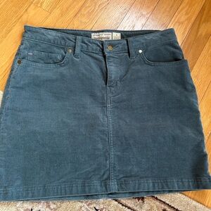 Patagonia Women's Teal Mini Skirt
